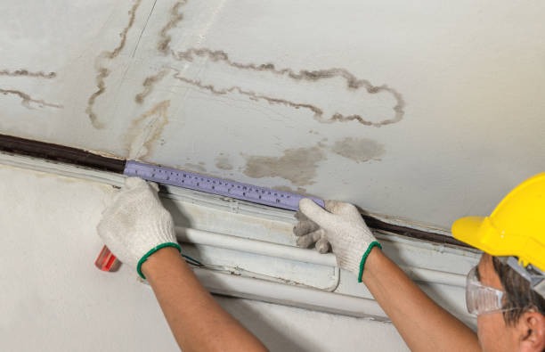 Reliable Mold Remediation contractor in Indiahoma, OK by Water Damage Irwin